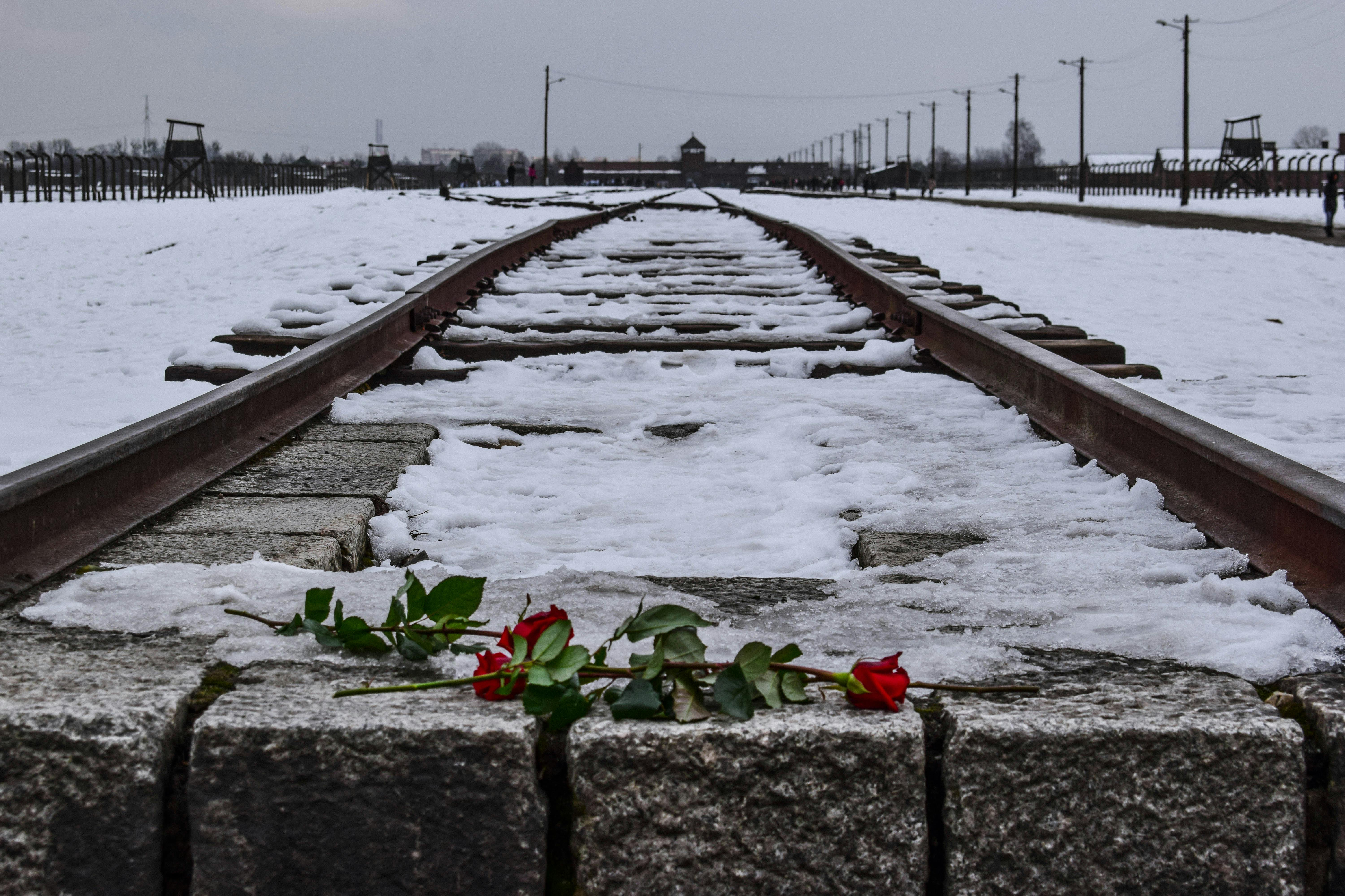 Schienen im Schnee, vor denen Rosen abgelegt sind